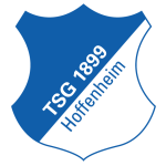 Hoffenheim U19 Takım Logosu