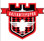 Gaziantepspor U19 Takım Logosu