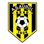 Aurul Brad Takım Logosu