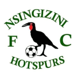 Nsingizini Takım Logosu
