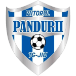 Viitorul Tg. Jiu Takım Logosu