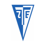 ZTE U19 Takım Logosu