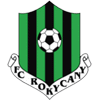 Rokycany Takım Logosu