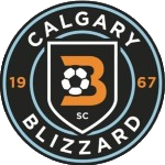 Blizzard Takım Logosu