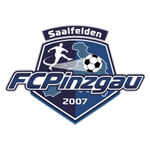 Pinzgau Takım Logosu