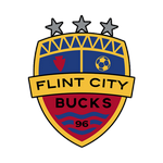Flint City Takım Logosu