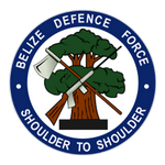 BDF Takım Logosu