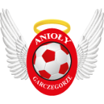 Anioly Takım Logosu