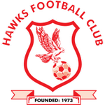 Hawks Takım Logosu