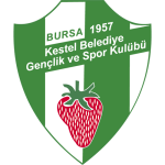 Kestel Çilek Takım Logosu