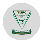 Triangle Takım Logosu