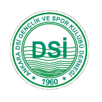 Ankara D.S.İ. Takım Logosu