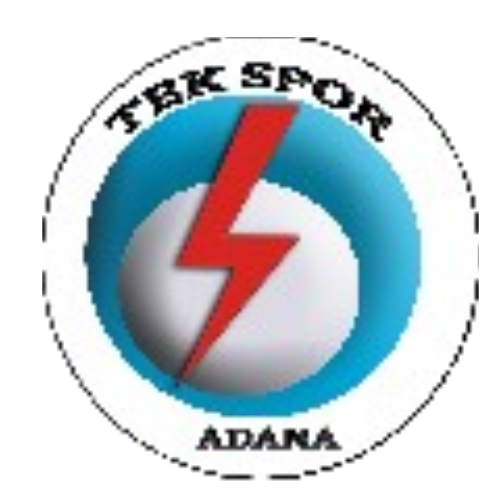 Yüzüncü Yıl Takım Logosu