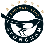 Seongnam Takım Logosu