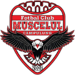 Campulung Takım Logosu
