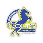 Cumbernauld C. Takım Logosu