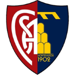 Montevarchi Takım Logosu