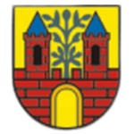 Thüring. Weida Takım Logosu