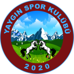 Yaygınspor Takım Logosu