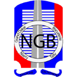 Niarry Tally Takım Logosu