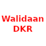 Walidaan DKR Takım Logosu