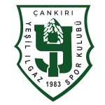 Yeşil Ilgazspor Takım Logosu