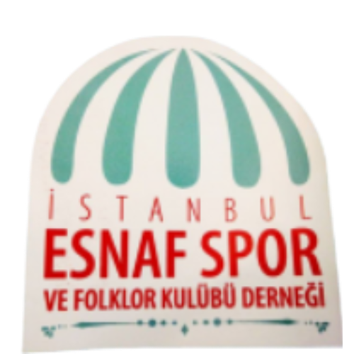 İstanbul Esnaf Takım Logosu