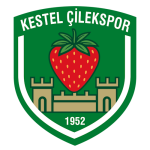 Kestel Çilek Takım Logosu
