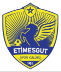 Etimesgut Spor B Takım Logosu
