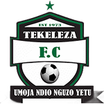 Tekeleza Takım Logosu