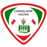 Çüngüş Gençlik Takım Logosu