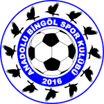 Anadolu Bingöl Takım Logosu