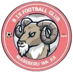 B19 Takım Logosu