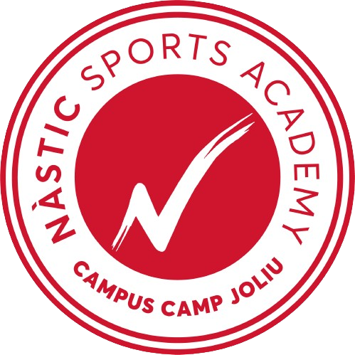 NSA Takım Logosu
