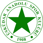 Üsküdar Anadolu Takım Logosu